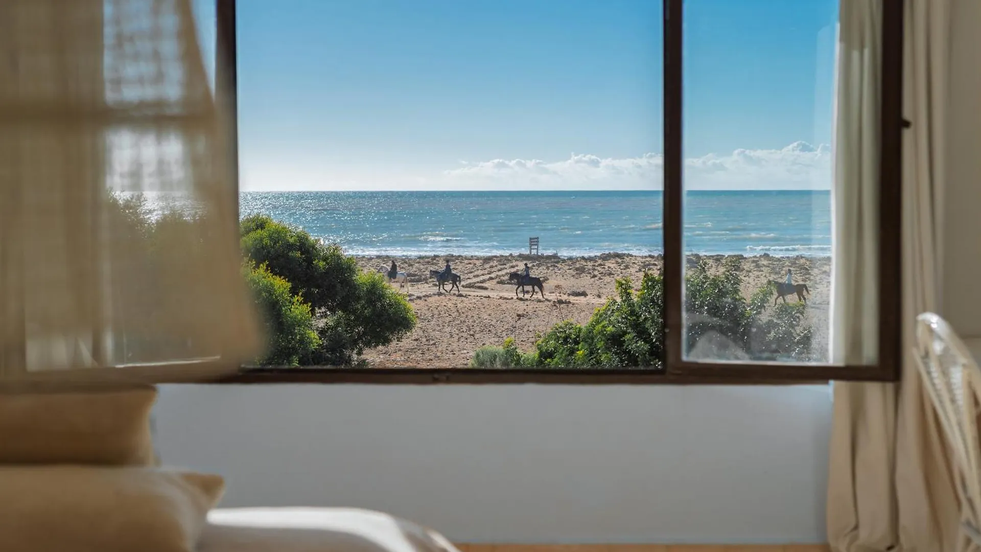Hotel La Mouette Et Les Dromadaires Essaouira Morocco