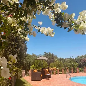 Apollonia - Blissful Garden Paradise With Pool Nestled In Nature Essaouira